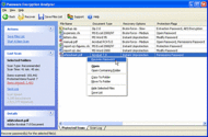 Passware Encryption Analyzer screenshot